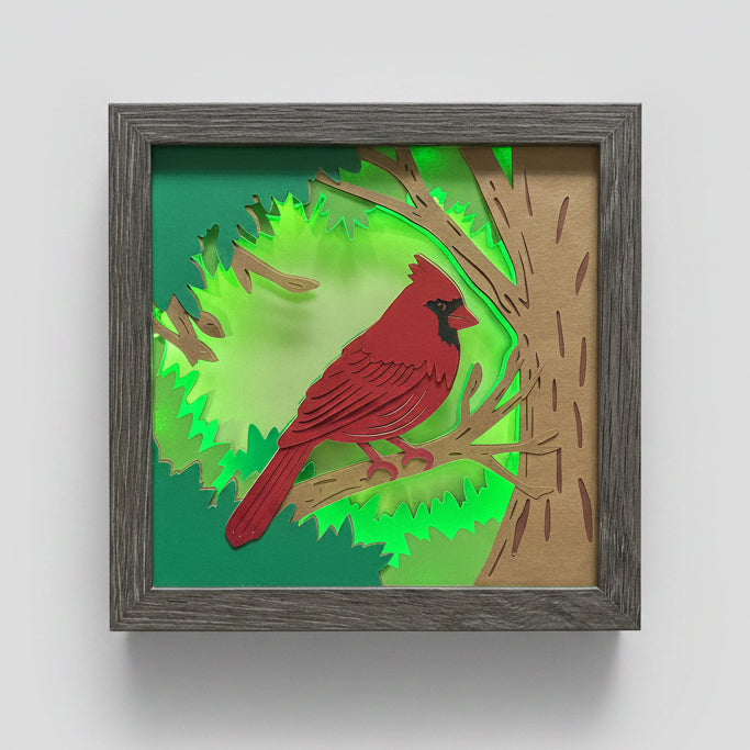 Cardinal Lighted Shadowbox